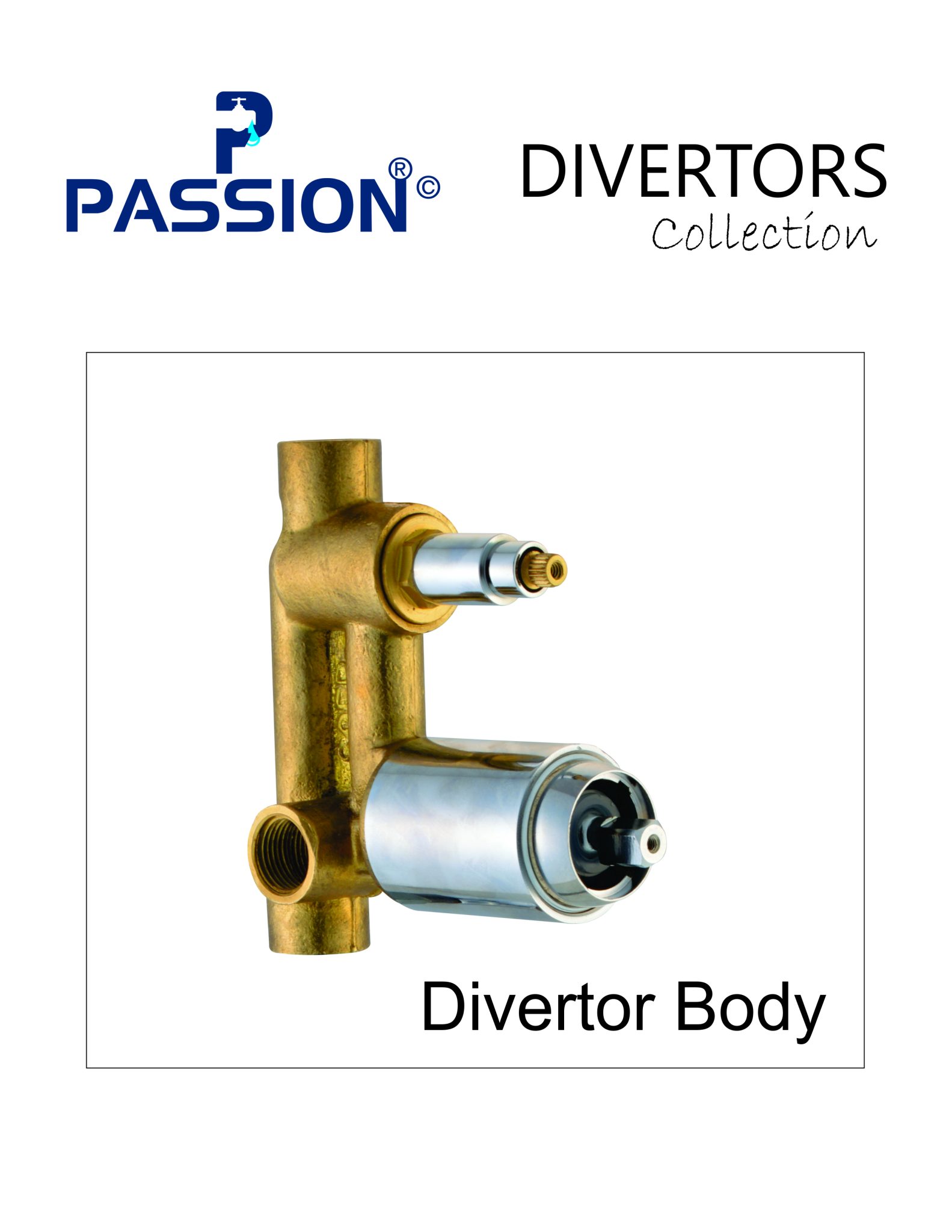 divertor body divertors